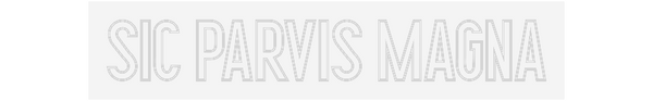 Custom Neon: SIC PARVIS MA...