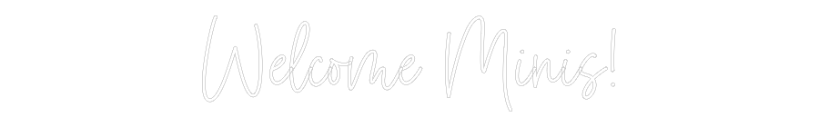 Custom Neon: Welcome Minis!