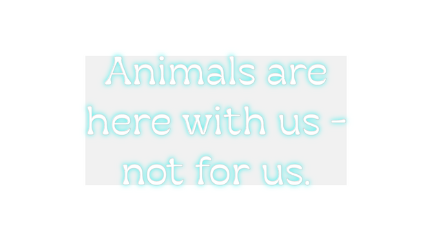 Custom Neon: Animals are
h...