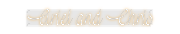 Custom Neon: Ariel and Chris