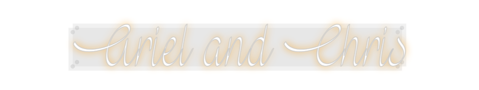 Custom Neon: Ariel and Chris