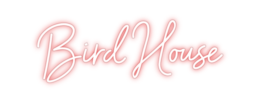 Custom Neon: Bird House