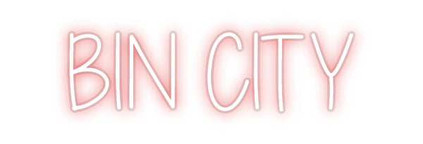 Custom Neon: BIN CITY