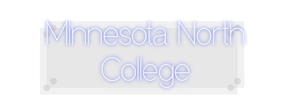 Custom Neon: Minnesota Nor...