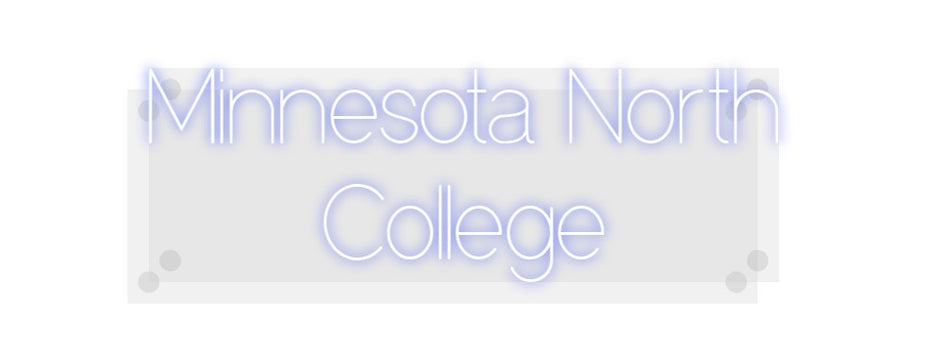 Custom Neon: Minnesota Nor...