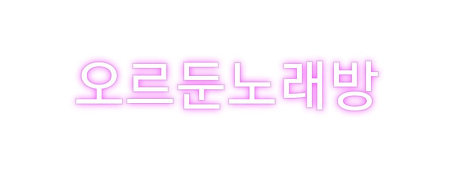 Custom Neon: 오르둔노래방