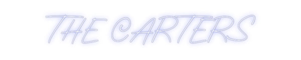 Custom Neon: THE CARTERS