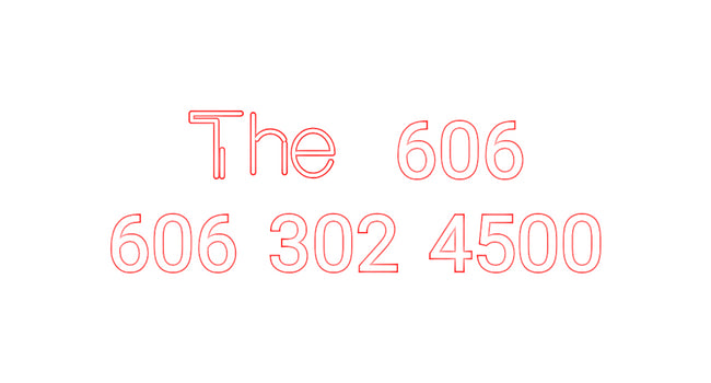 Custom Neon:      The  606...