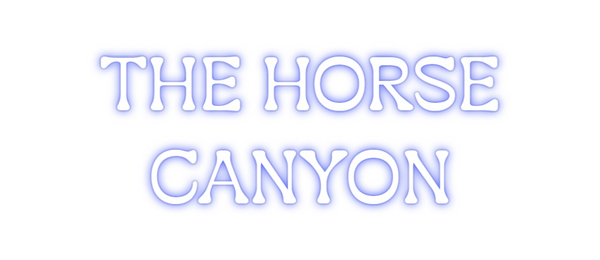 Custom Neon: THE HORSE
CAN...