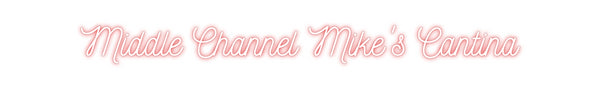Custom Neon: Middle Channe...