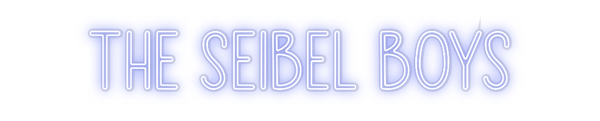 Custom Neon: THE SEIBEL BOYS