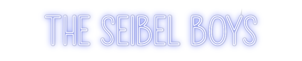 Custom Neon: THE SEIBEL BOYS