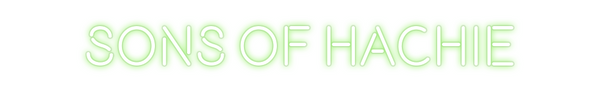 Custom Neon: Sons of Hachie