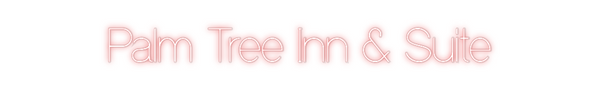 Custom Neon: Palm Tree Inn...