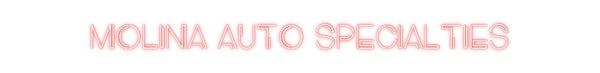 Custom Neon: MOLINA AUTO S...