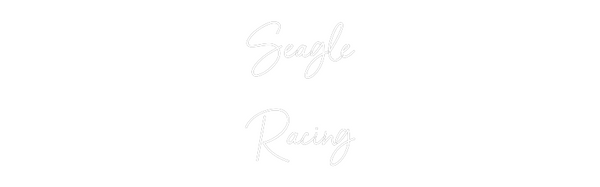Custom Neon: Seagle
Racing