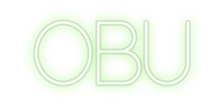 Custom Neon: OBU
