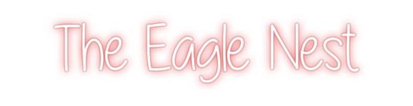 Custom Neon: The Eagle Nest