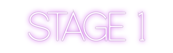 Custom Neon: STAGE 1