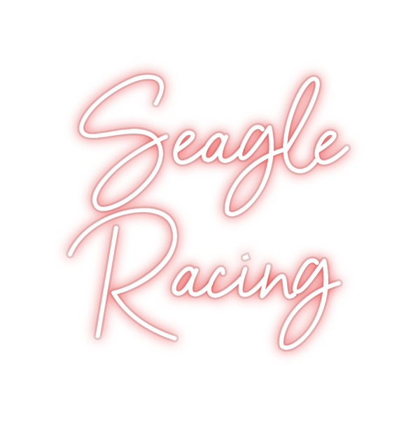 Custom Neon: Seagle
Racing