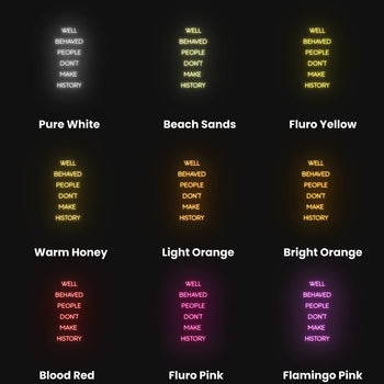 Well Behaved People Don't Make History Neon Sign