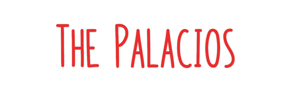 Custom Neon: The Palacios