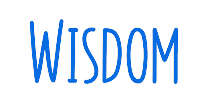 Custom Neon: Wisdom