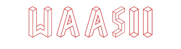 Custom Neon: WAASII