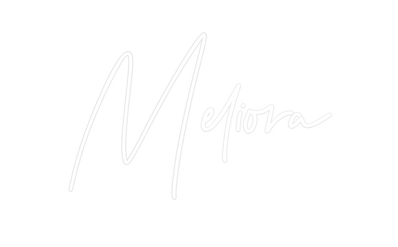 Custom Neon: Meliora