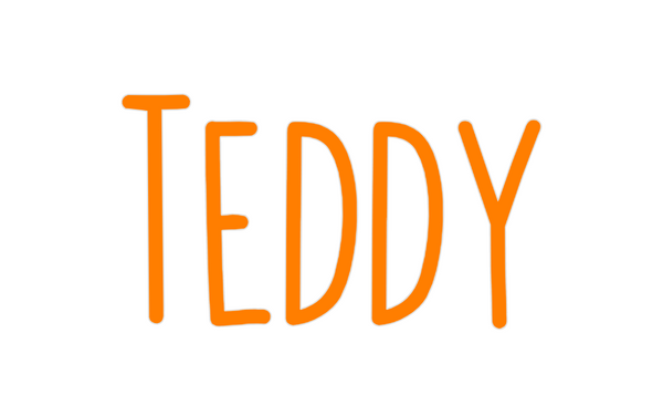 Custom Neon: Teddy