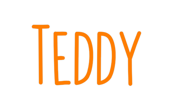Custom Neon: Teddy