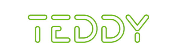 Custom Neon: Teddy