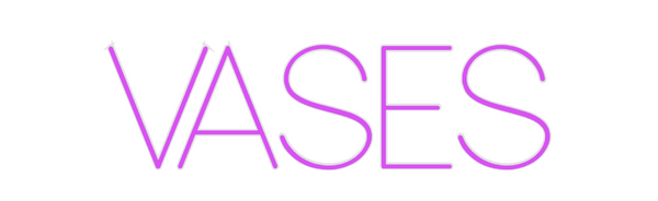 Custom Neon: VASES
