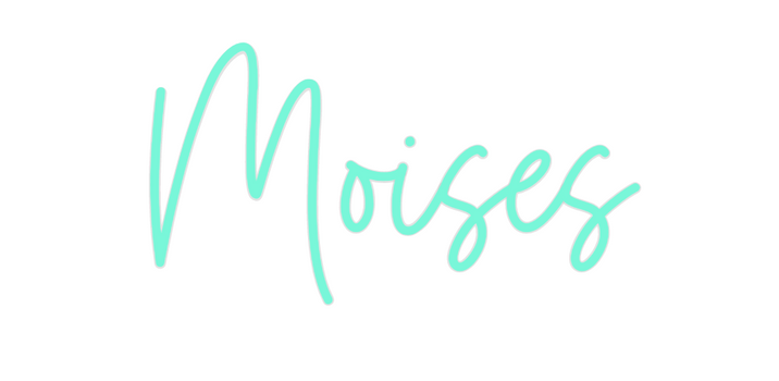 Custom Neon: Moises