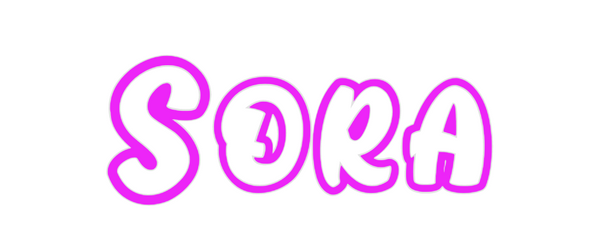 Custom Neon: Sora