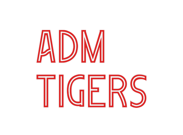 Custom Neon:   ADM
TIGERS