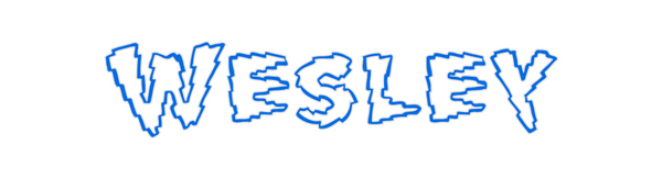 Custom Neon: Wesley