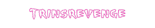Custom Neon: Trinsrevenge