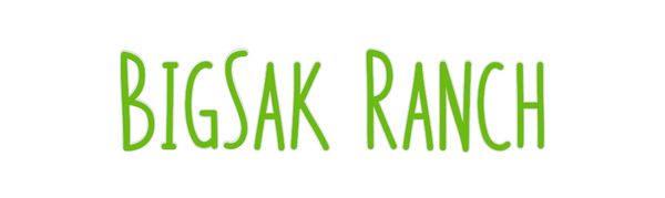 Custom Neon: BigSak Ranch