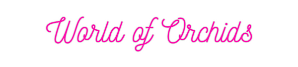 Custom Neon: World of Orch...
