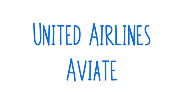 Custom Neon: United Airlin...