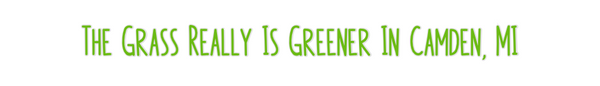 Custom Neon: The Grass Rea...