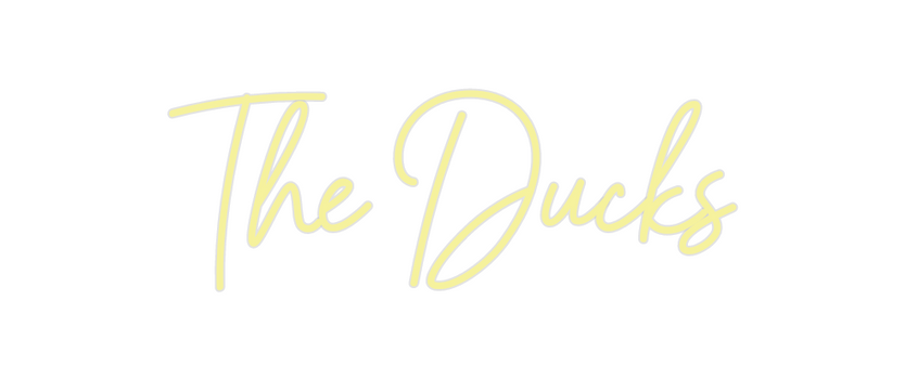 Custom Neon: The Ducks