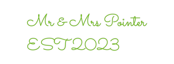 Custom Neon: Mr & Mrs Poin...