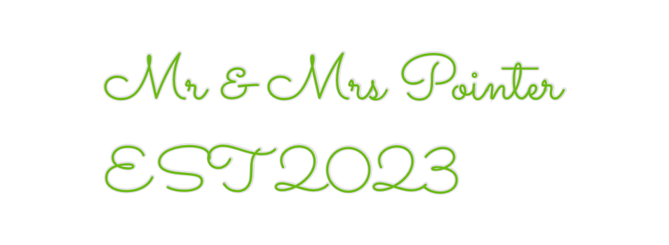 Custom Neon: Mr & Mrs Poin...