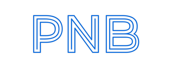Custom Neon: PNB