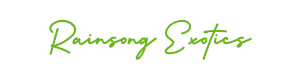 Custom Neon: Rainsong Exot...
