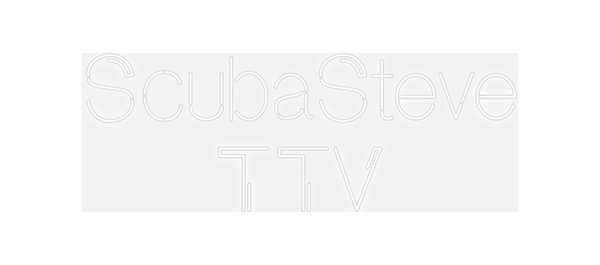 Custom Neon: ScubaSteve 
TTV