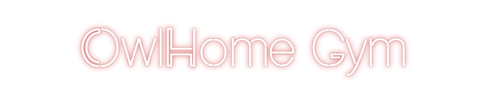 Custom Neon: OwlHome Gym