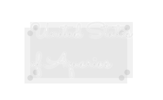 Custom Neon: United States...